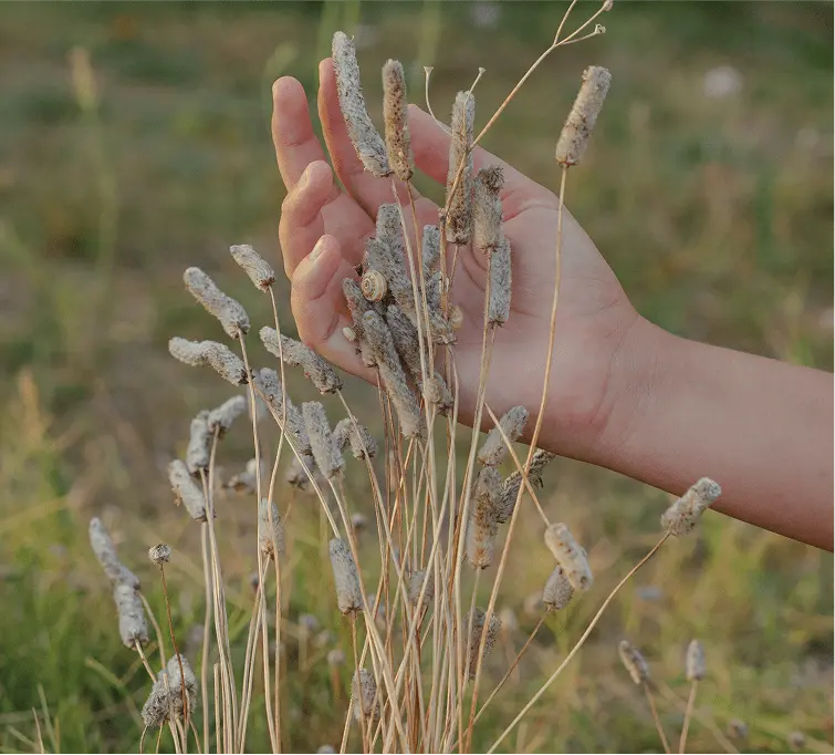 Belen Haffner - Alienta tu Salud mí metodo - Visión de salud integral Belen Haffner - Alienta tu Salud mí metodo - Visión de salud integral